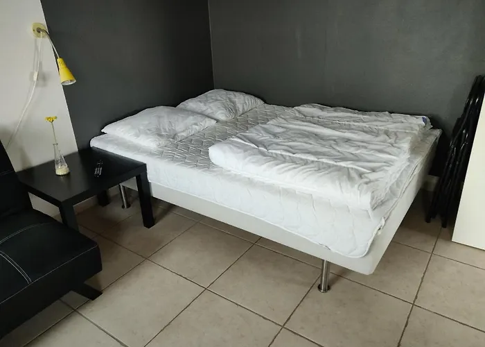 Camping & Camping Thisted